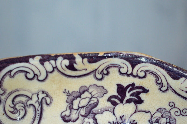 Antique Purple Mulberry Transferware Plate Ironstone T W Simla Thomas Walker