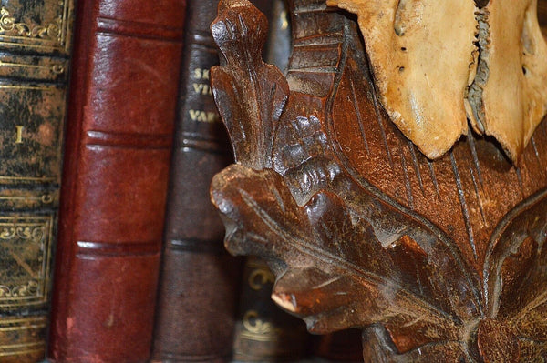 Antique German Black Forest Carved Wood Deer Antlers Trophy Shield