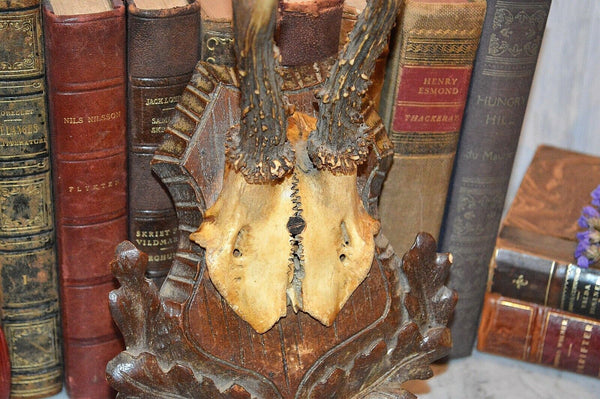 Antique German Black Forest Carved Wood Deer Antlers Trophy Shield