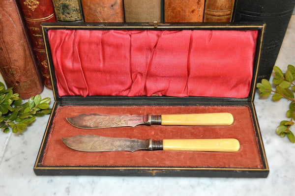 Antique English Victorian Silver Plate Fish Knives Cutlery Boxed Set Bone Handle
