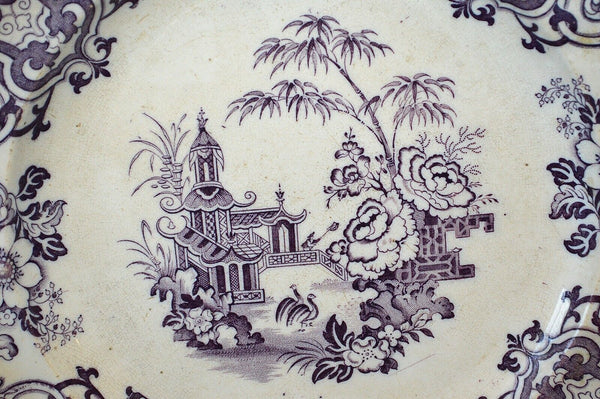 Antique Purple Mulberry Transferware Plate Ironstone T W Simla Thomas Walker