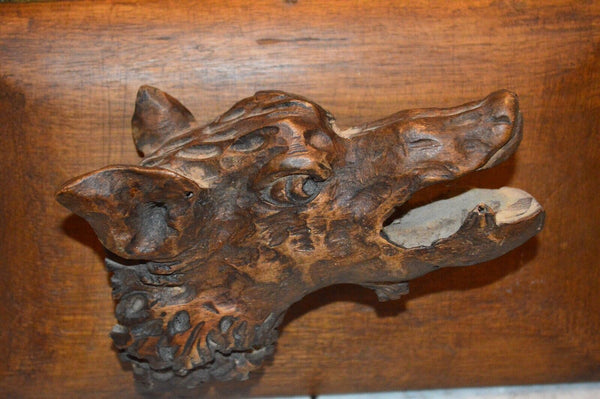 Antique German Black Forest Carved Wood Wild Boar Head Dimensional Plaque
