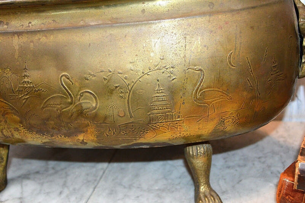 Antique Large Brass Jardiniere Planter Aesthetic Movement Lion Heads Paws