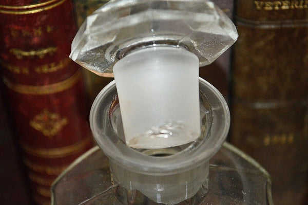 Antique French Apothecary Faceted Glass Bottle Stopper Painted Label Camphorat