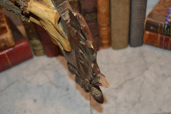 Antique German Black Forest Carved Wood Deer Antlers Trophy Shield