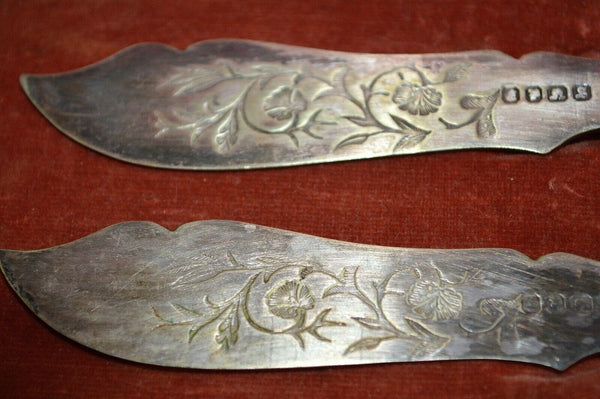 Antique English Victorian Silver Plate Fish Knives Cutlery Boxed Set Bone Handle