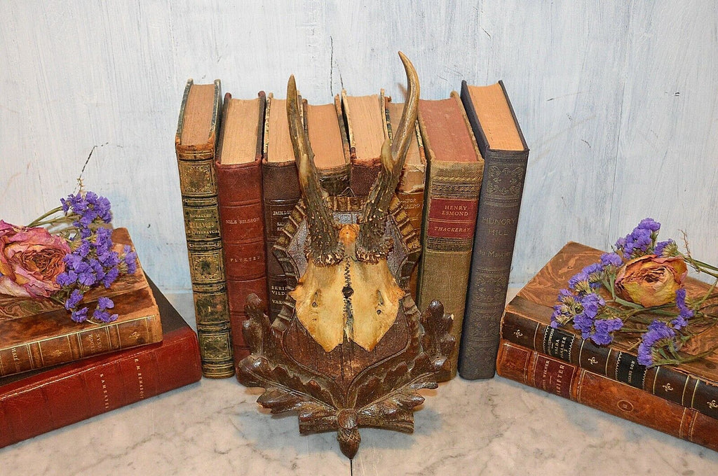 Antique German Black Forest Carved Wood Deer Antlers Trophy Shield