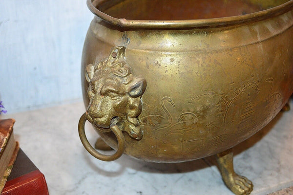 Antique Large Brass Jardiniere Planter Aesthetic Movement Lion Heads Paws