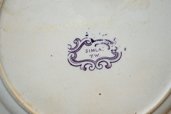 Antique Purple Mulberry Transferware Plate Ironstone T W Simla Thomas Walker