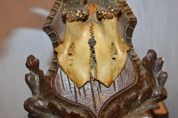 Antique German Black Forest Carved Wood Deer Antlers Trophy Shield