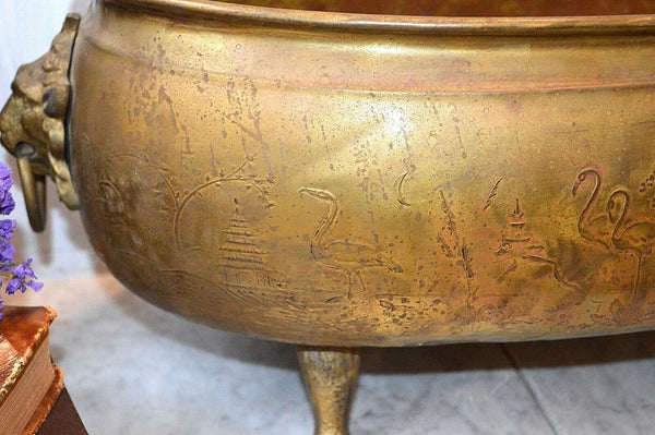 Antique Large Brass Jardiniere Planter Aesthetic Movement Lion Heads Paws