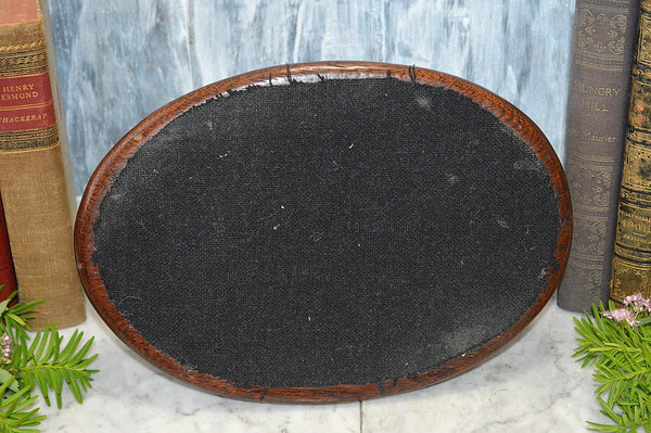 Antique Tea Caddy English Wood Oak Oval Box Brass Banding Glass Knob