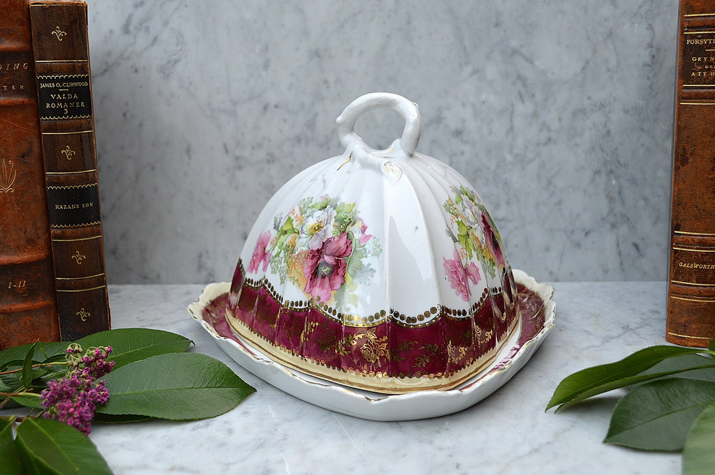 Antique RW Bavaria Covered Cheese Dome Porcelain Floral Transferware
