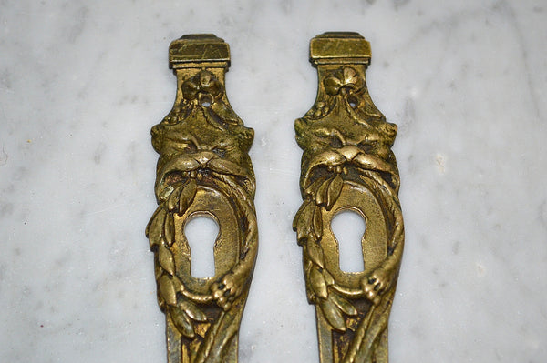 Antique Pair French Lion Head Bronze Ormolu Escutcheons Vertical Keyholes