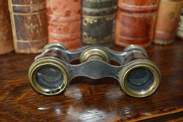 Antique French Opera Mother of Pearl Glasses Binoculars with Etched Flowers - Antique Flea Finds - 3