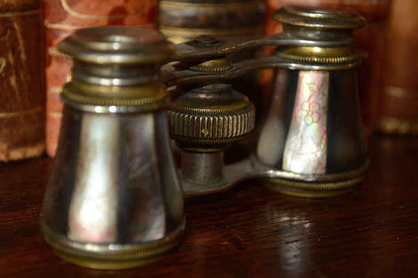 Antique French Opera Mother of Pearl Glasses Binoculars with Etched Flowers - Antique Flea Finds - 4