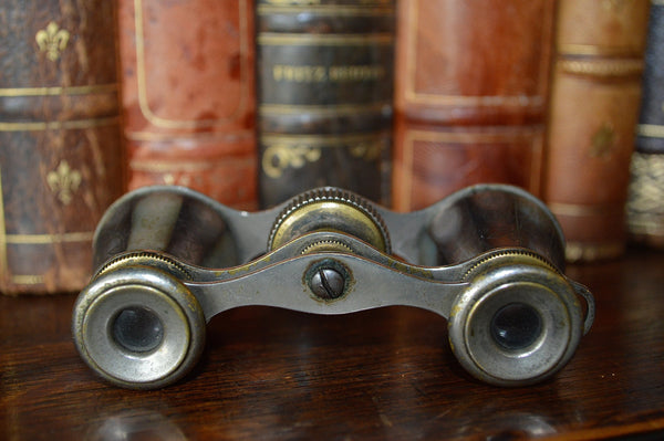 Antique French Opera Mother of Pearl Glasses Binoculars with Etched Flowers - Antique Flea Finds - 5