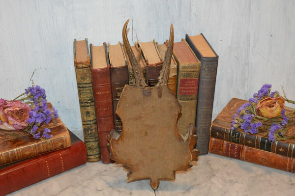 Antique German Black Forest Carved Wood Deer Antlers Trophy Shield