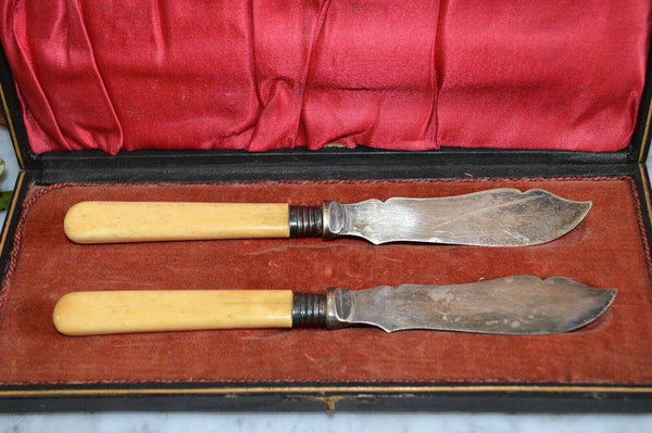 Antique English Victorian Silver Plate Fish Knives Cutlery Boxed Set Bone Handle