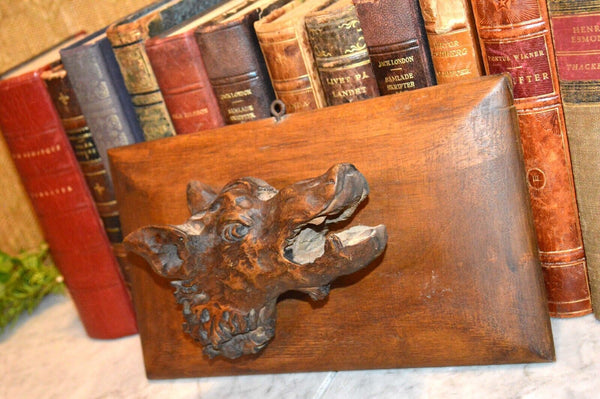 Antique German Black Forest Carved Wood Wild Boar Head Dimensional Plaque