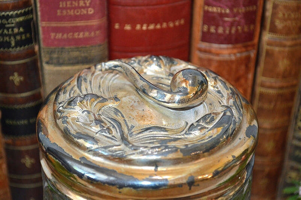 Antique Art Nouveau Tobacco Jar Figural Pipe On Lid Cut Glass Apollo Silver Co