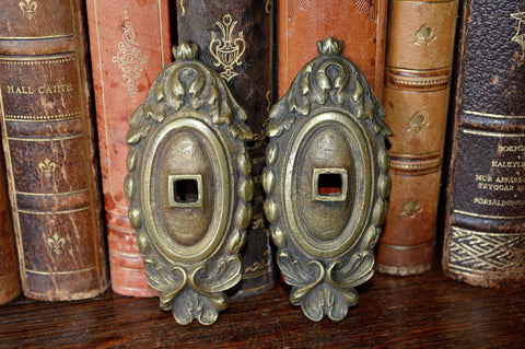 Antique Pair French Backplates Bronze Door Mount Hardware - Antique Flea Finds - 1